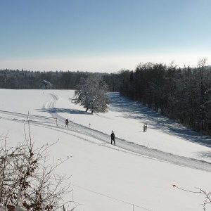 langlauf-siblinger-randen600