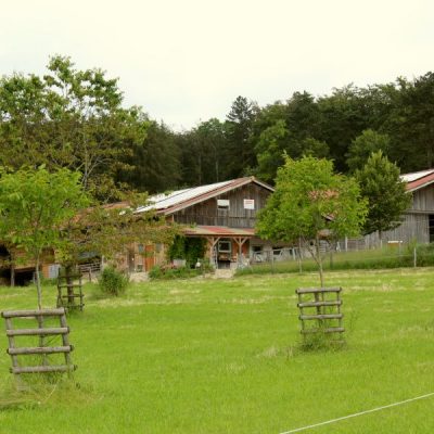 Blick auf Käserei und Stall