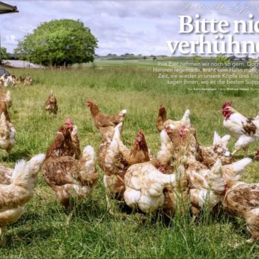 Suppenhuhn-Reportage im Landliebe-Magazin